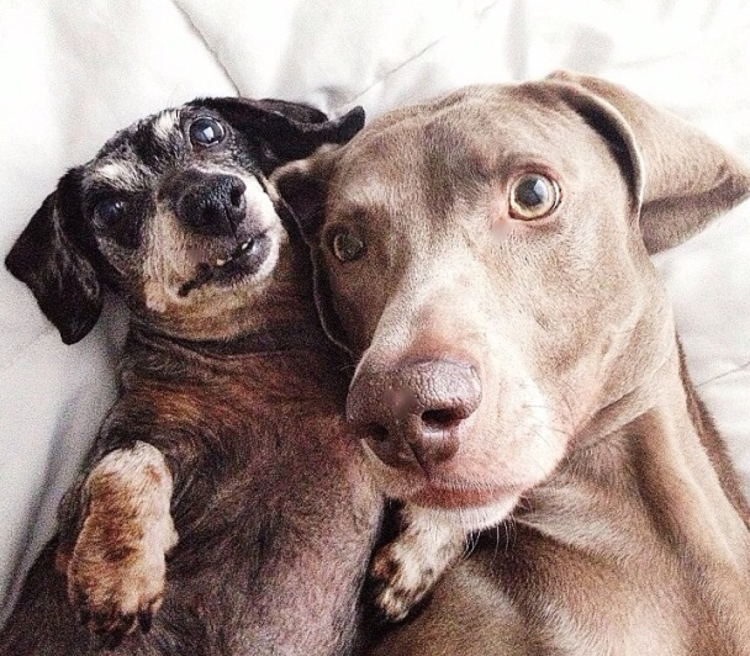 'Harlow And Sage' Instagram Account Is All Sorts Of Perfect (PHOTOS