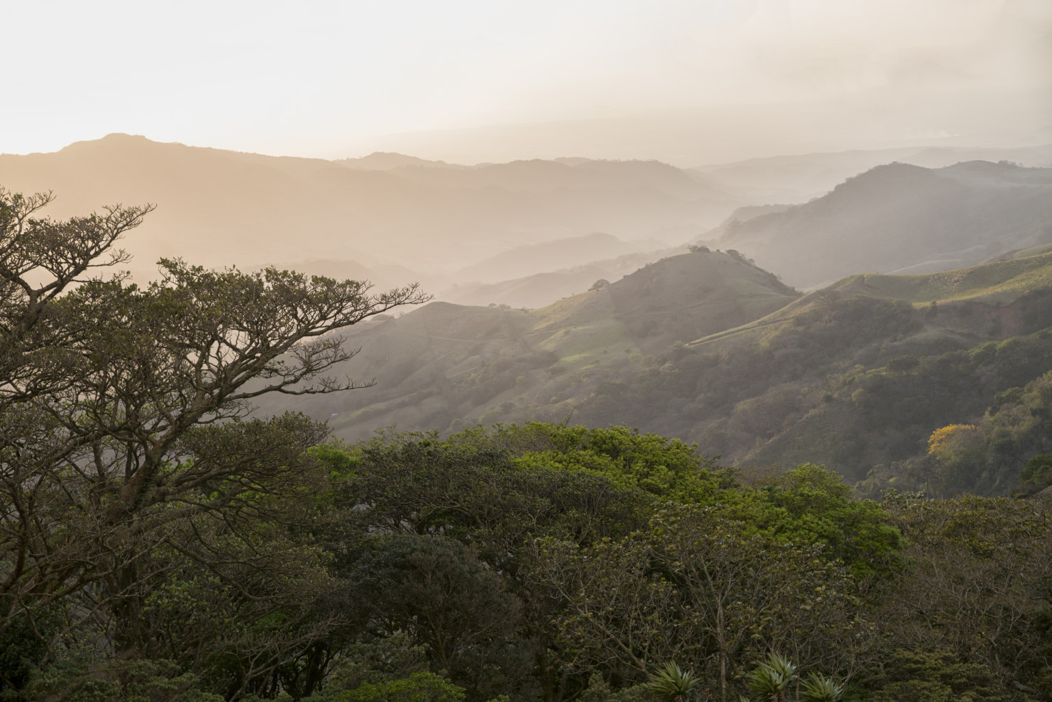 The Most Dangerous Places In Latin America For Environmentalists HuffPost