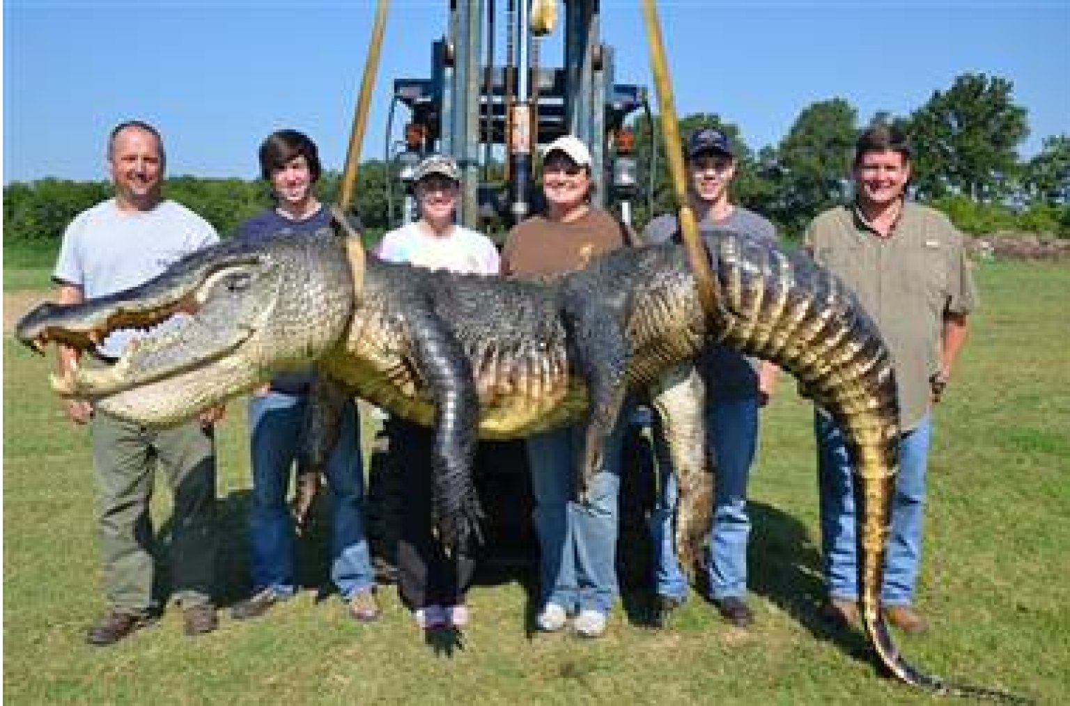 727-pound-gator-caught-in-mississippi-river-is-a-record-breaker-huffpost