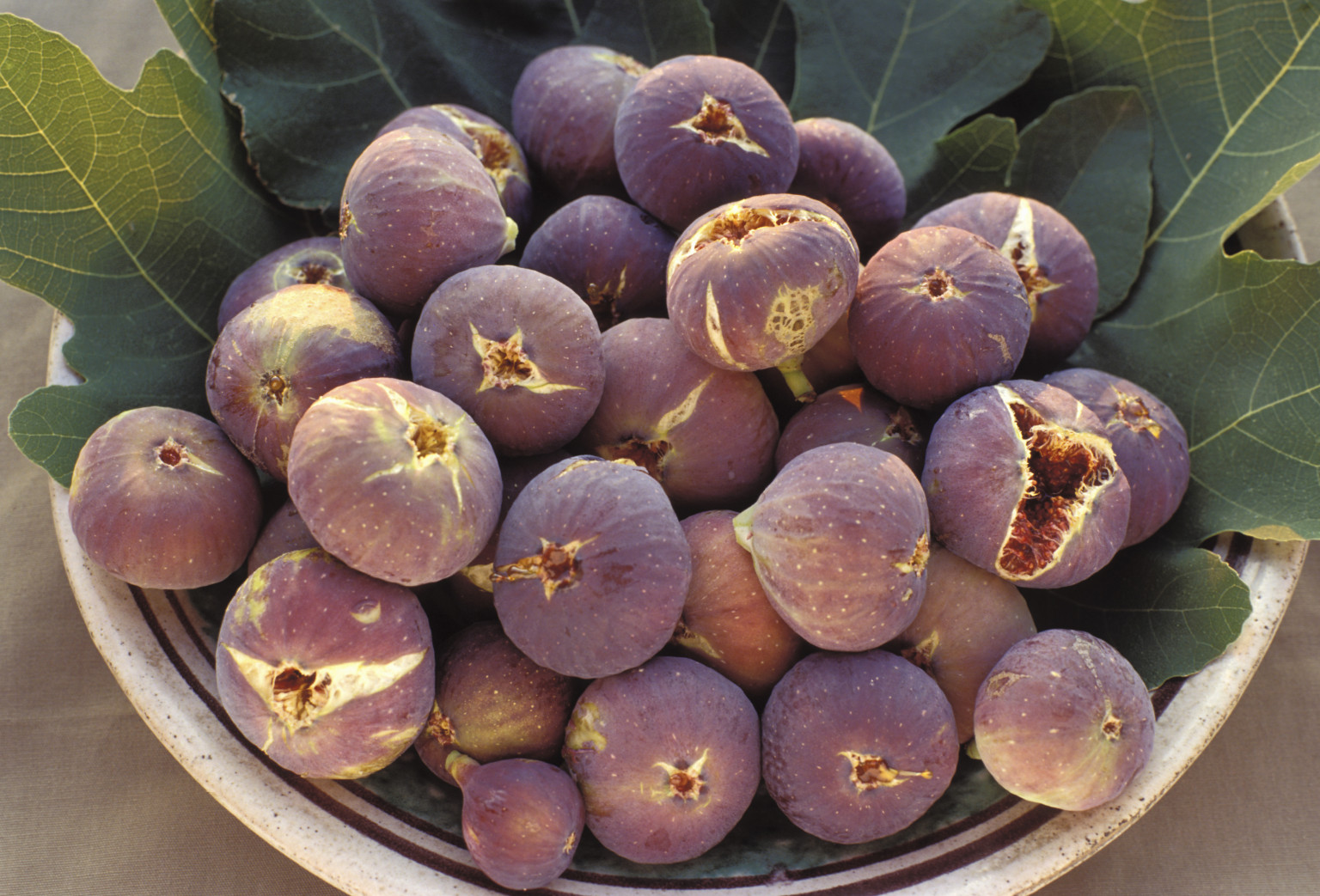 Seasonal Ingredients 12 Fresh and Healthy Recipes for Fall HuffPost