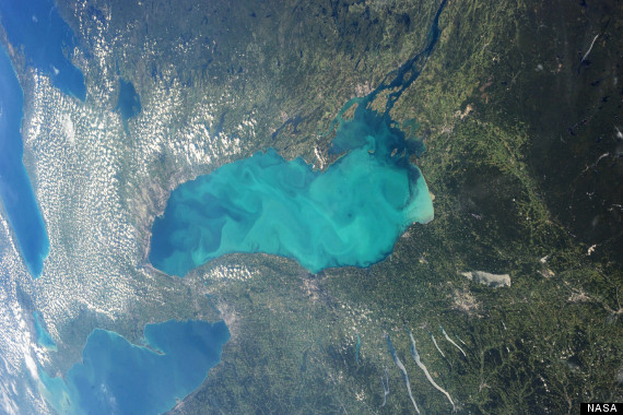 lake ontario algae1