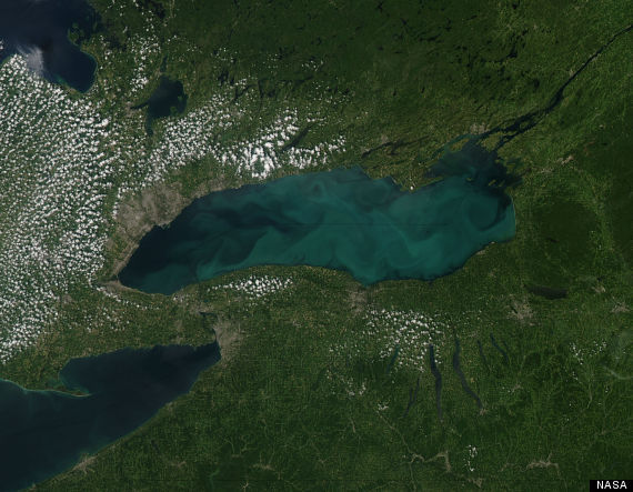 lake ontario algae 2