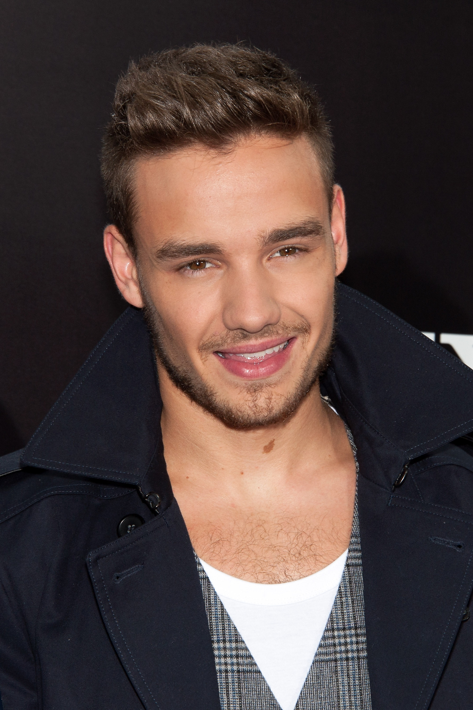 Liam Payne's Apartment Catches Fire, One Direction Star's Friends