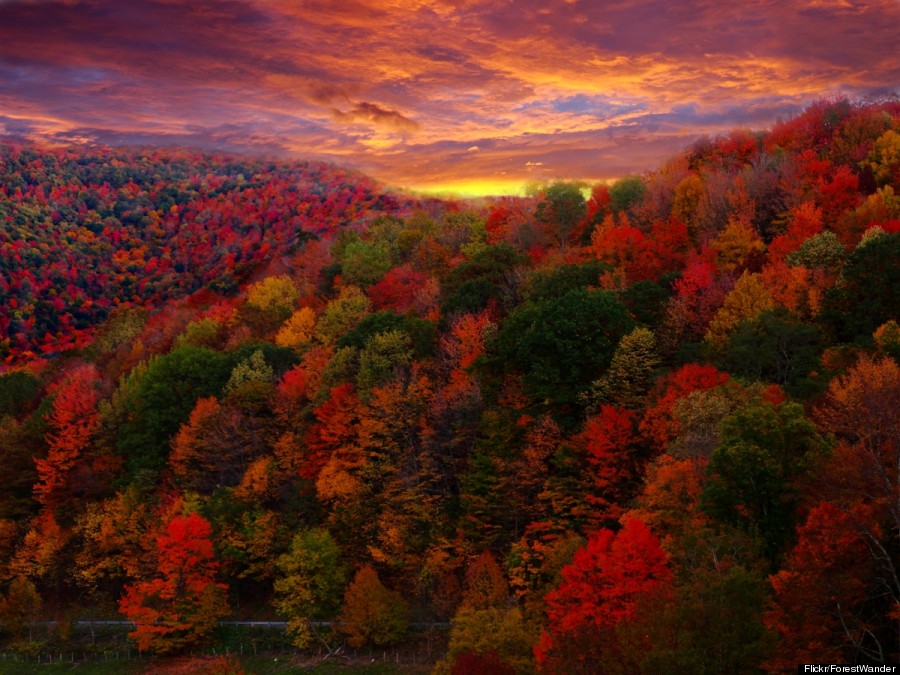 These Amazing Autumn Photos Will Make You Excited Summer s Ending These Amazing Autumn Photos Will Make You Excited Summer s Ending