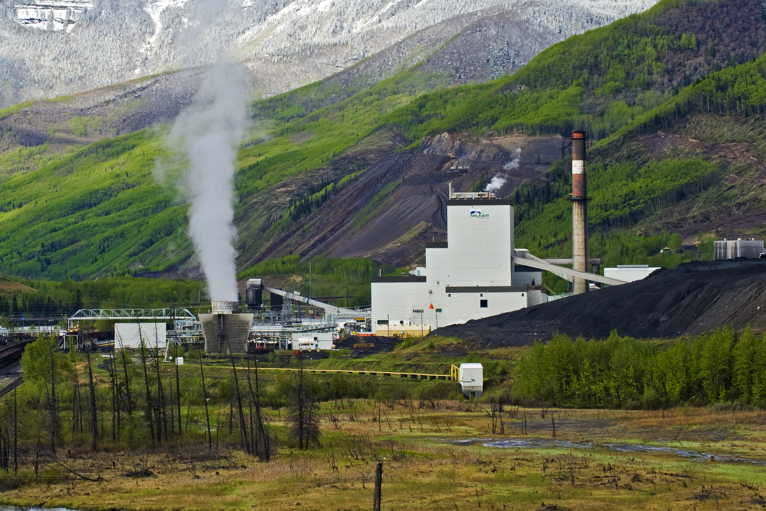 Doctors Demand Alberta Coal-Fired Plants Be Phased Out