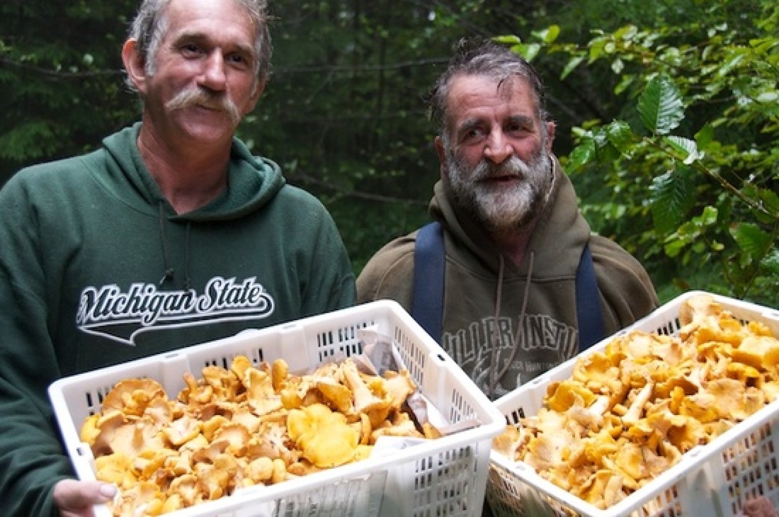 Mushroom Hunting With the Pros HuffPost
