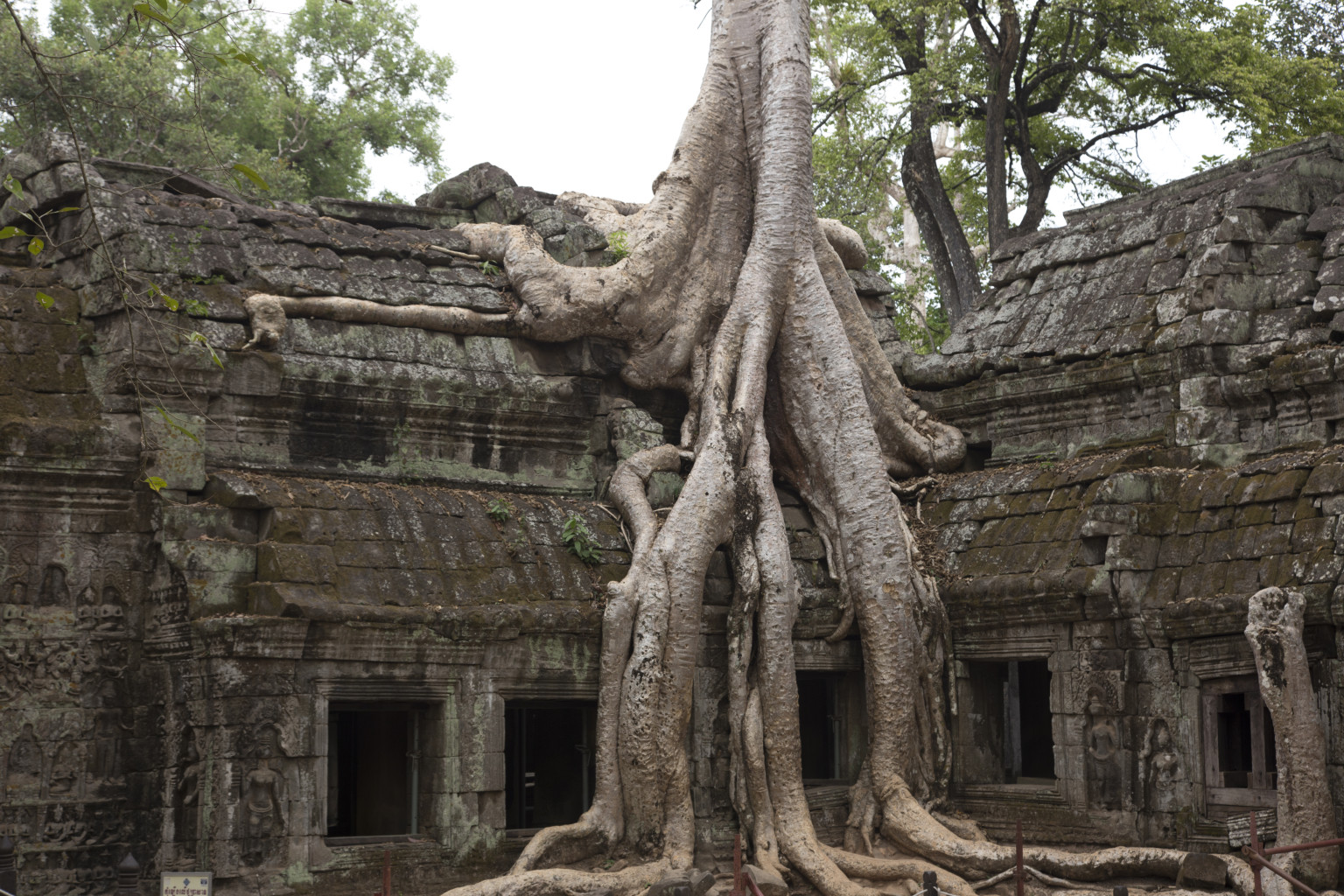 These Trees Eat Things. Seriously. HuffPost