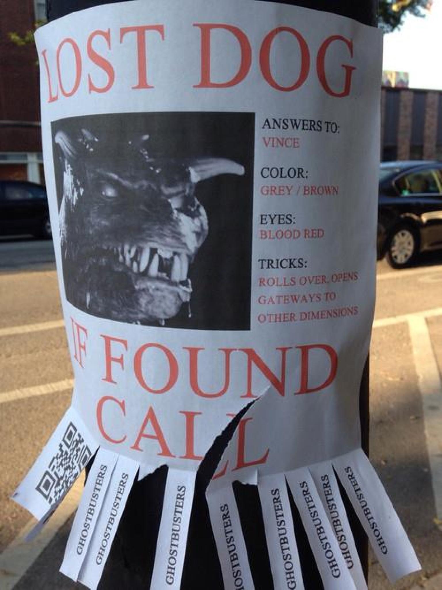 best-lost-dog-flyer-ever-or-best-lost-dog-flyer-ever-huffpost