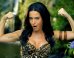 PETA: Katy Perry's 'Roar' Music Video Is Cruel To Animals