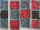The Best Berries For Your Health