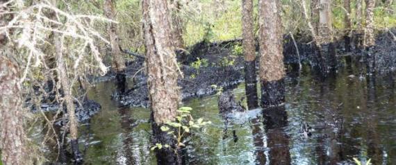 CNRL oil spill photos