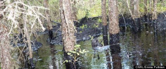 CNRL oil spill photos