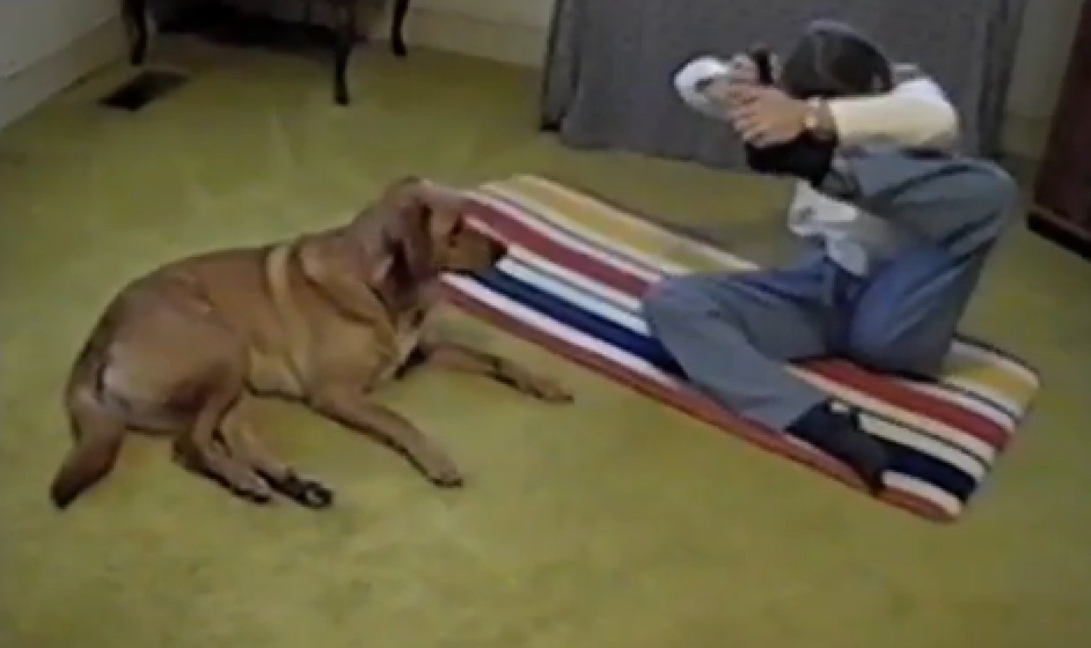 Yoga Practicing Pooch Can Probably Put Your 'Downward Dog' To Shame (VIDEO)
