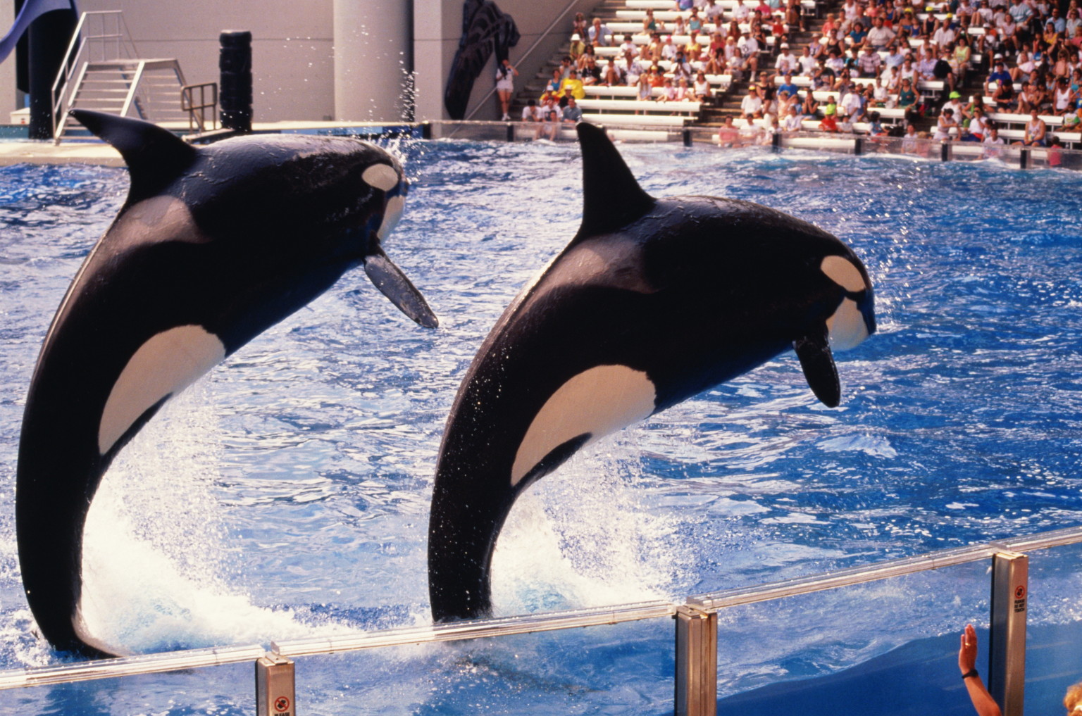 SeaWorld Cuts Hours In Possible Obamacare Maneuver HuffPost
