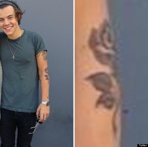 harry styles