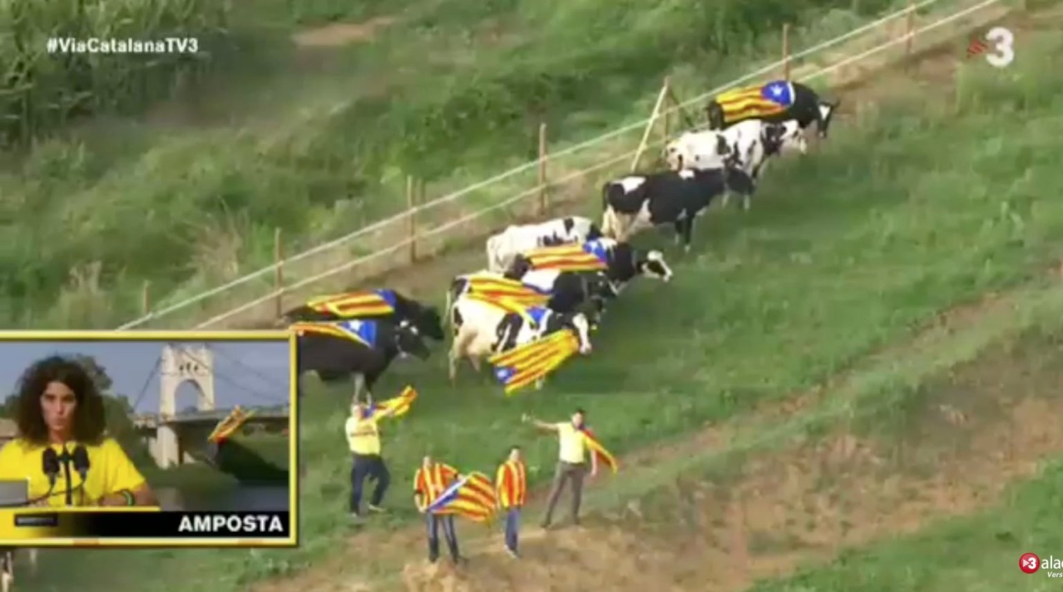 Imagenes Graciosas Independencia Catalana | via catalana 10 im 225 genes que nos deja la cadena humana Imagenes Graciosas Independencia Catalana | via catalana 10 im 225 genes que nos deja la cadena humana