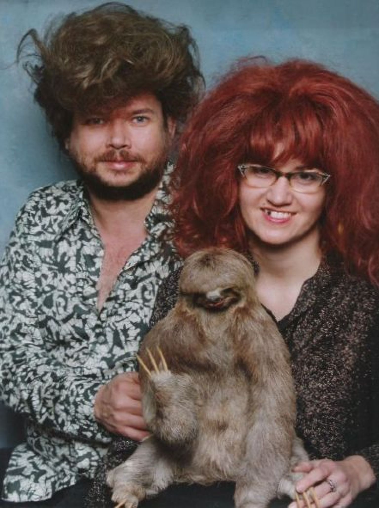 The Story Behind the Sloth Family Portrait | HuffPost