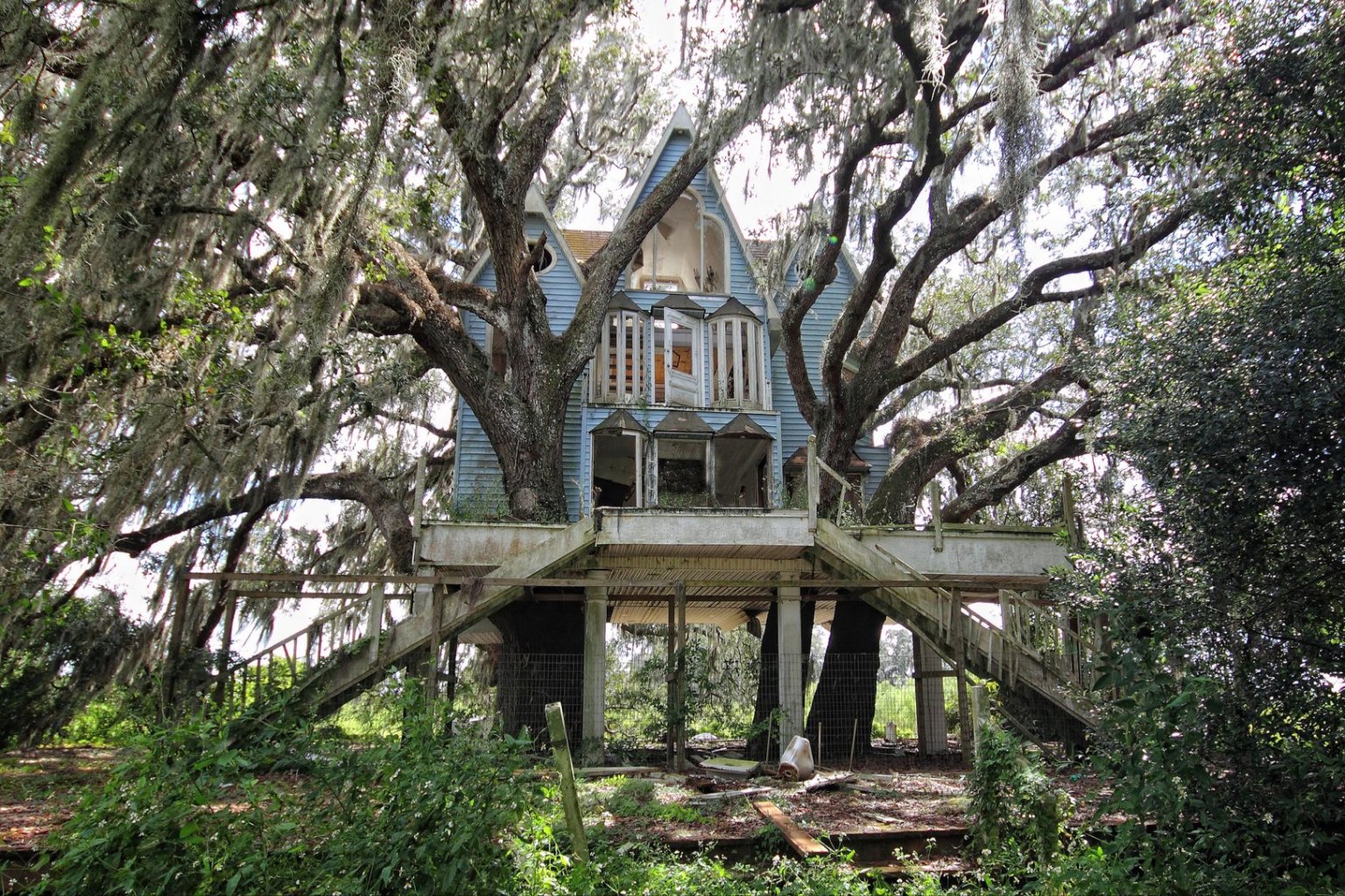 You Won't Be Able To Stop Looking At This Creepy Abandoned Treehouse