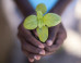 The 9 Best Gardening Tips and Tricks for Beginners