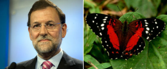rajoy