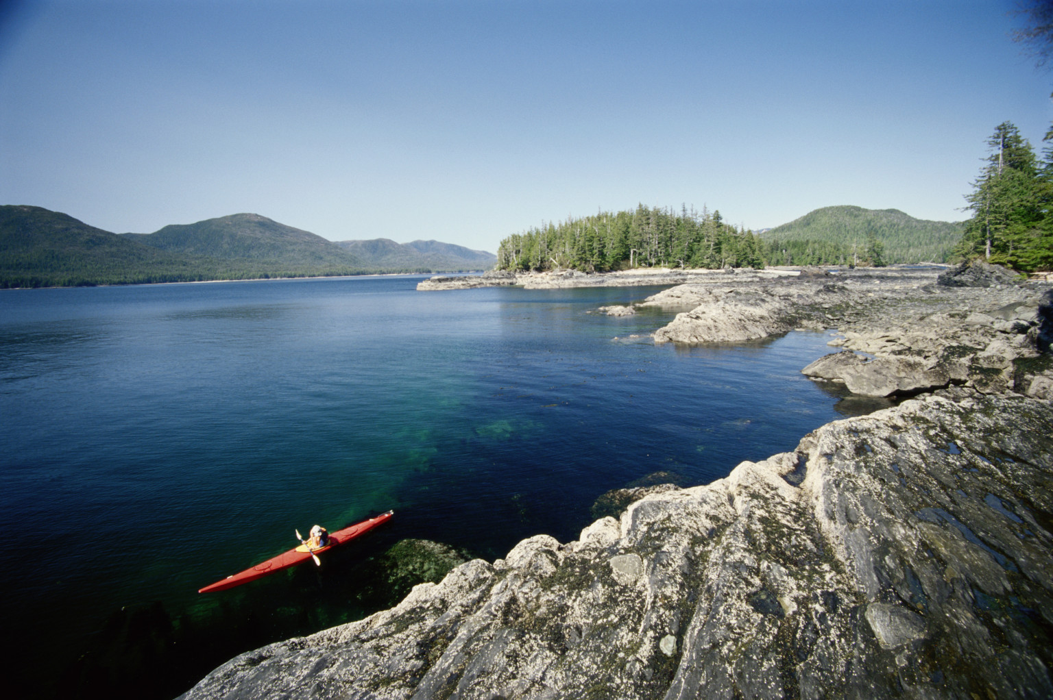 A Very Unhappy Birthday For The Tongass National Forest Huffpost