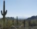 arizona-politics