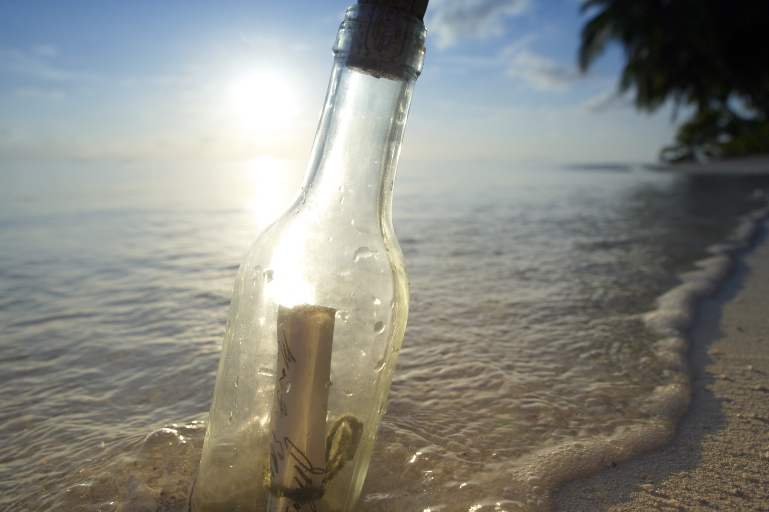 Steve Thurber's Message In A Bottle Discovery Near Tofino May Be World