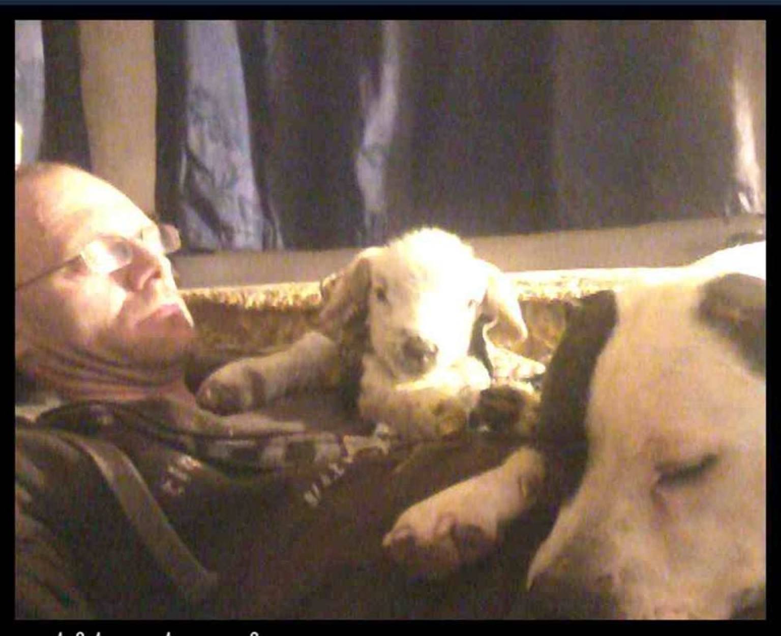 Graham Redfearn Filmed Self Having Sex With Horse And 2 Dogs Police Graham Redfearn Filmed Self Having Sex With Horse And 2 Dogs Police