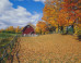 80% Of People Reorganize Their Home In Fall, So You Should Probably Get On That (VIDEO)