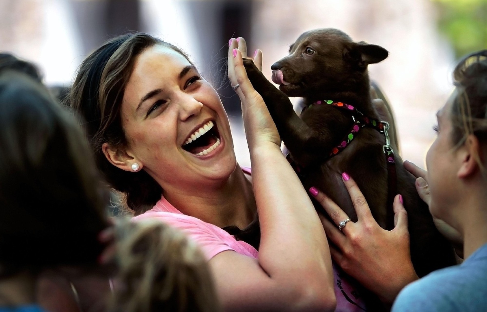 Playing With Dogs At The Shelter And 12 Other Super Fun Ways To Give Back