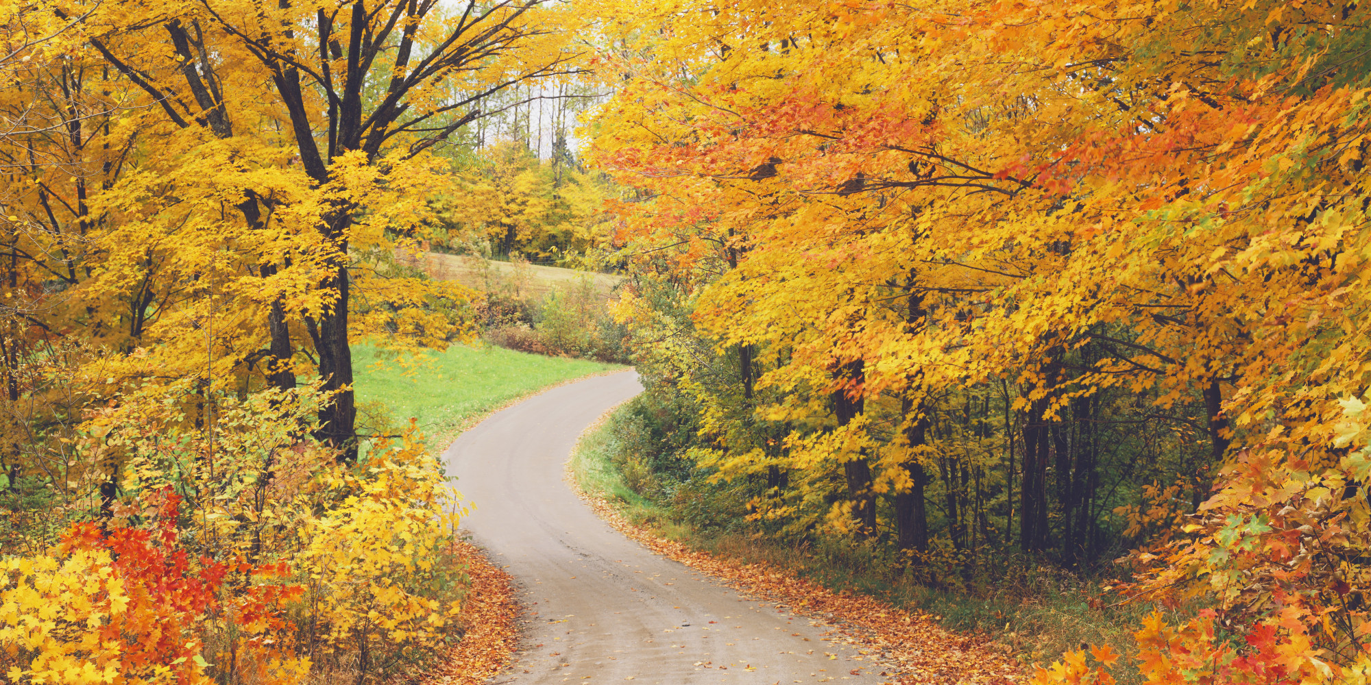 When Is The First Day Of Fall?