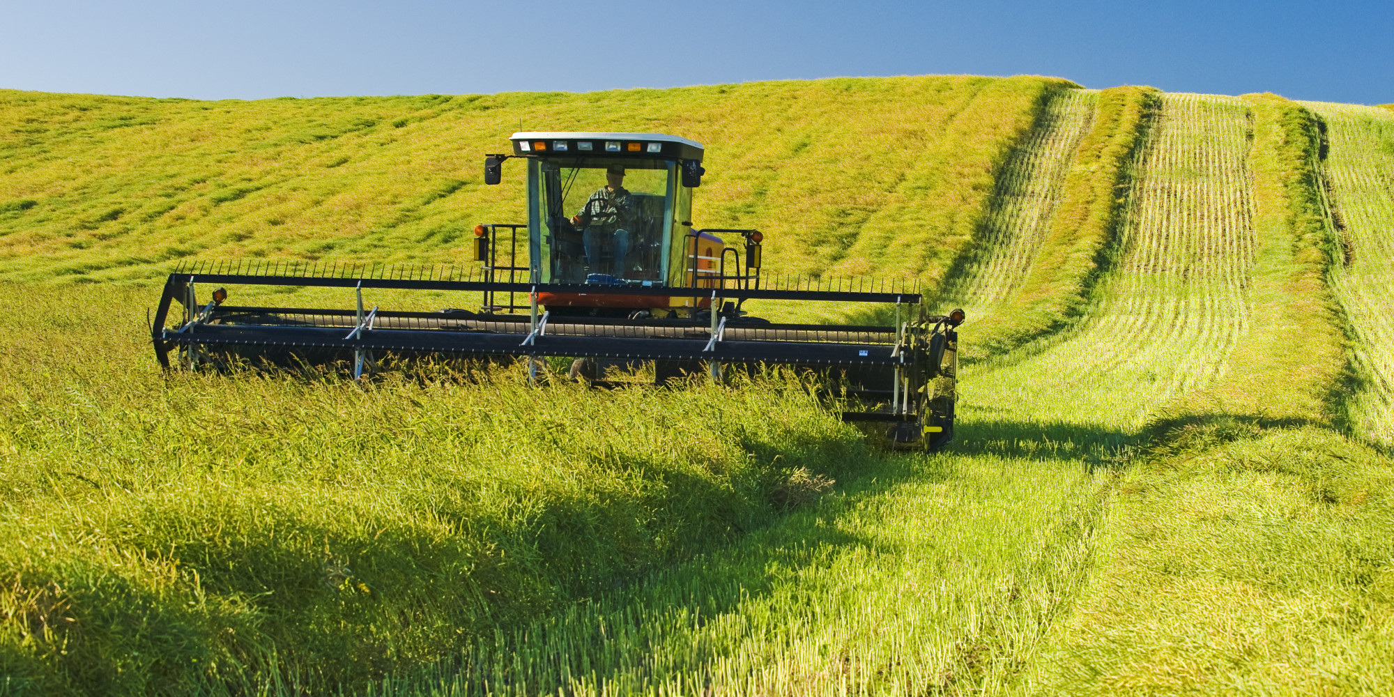 Bumper Crop Meaning In English