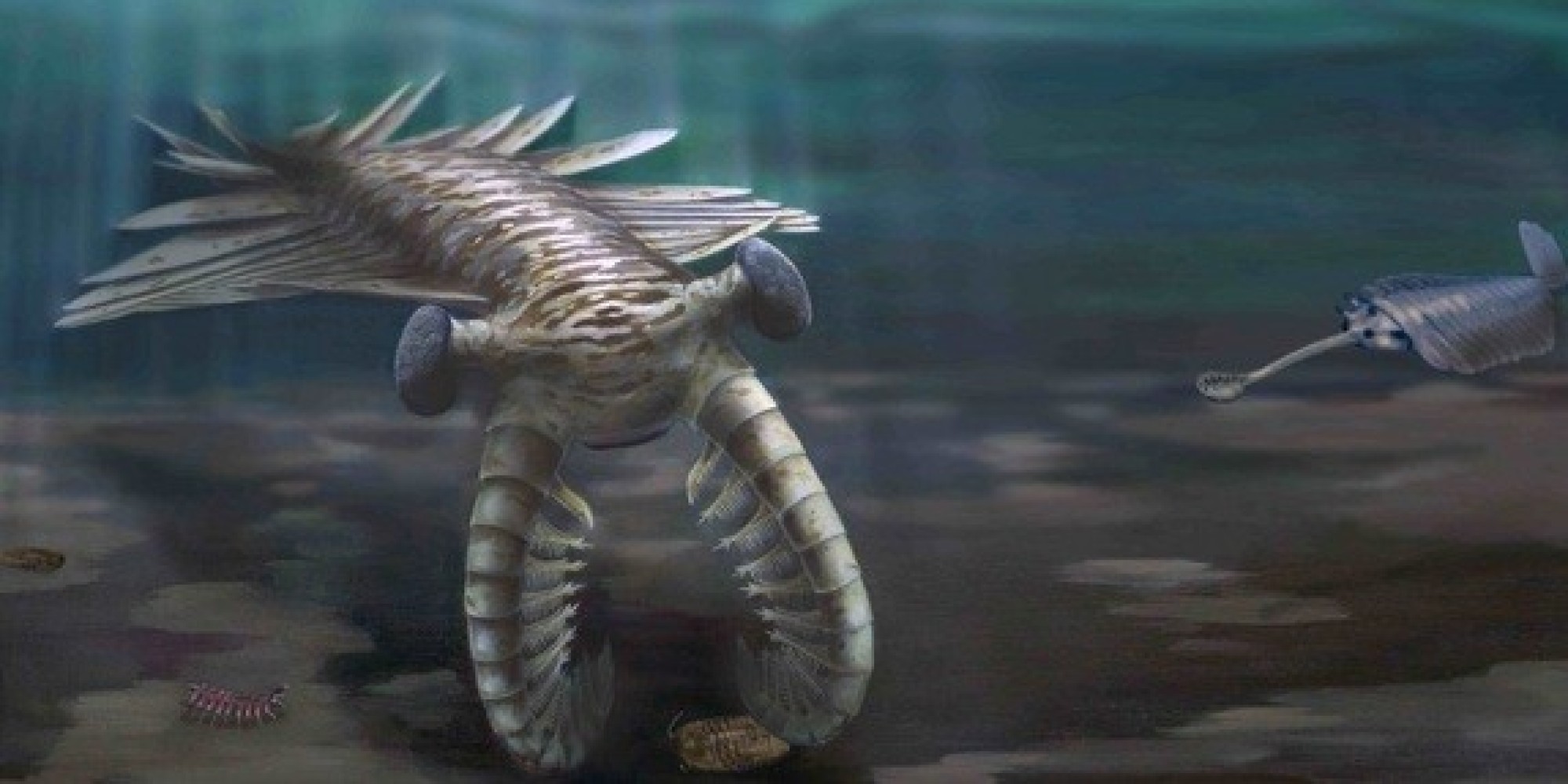 Cambrian Explosion Evolutionary Big Bang Was Sparked By