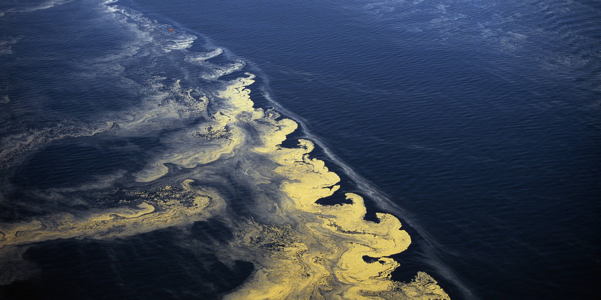 we-are-quickly-turning-the-ocean-into-a-dead-zone-alex-mifflin