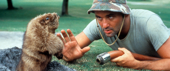 Bill Murray Is The Best And You Know It