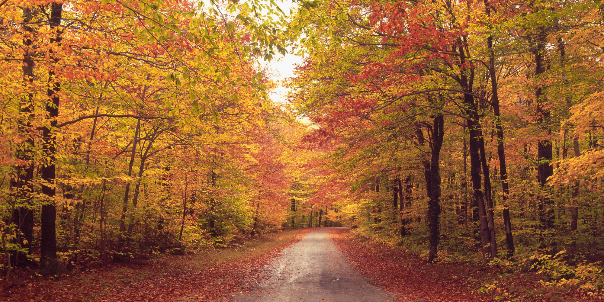 First Day Of Fall 2013 The Autumnal Equinox Is Here HuffPost