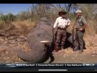The NRA Is Quietly Fighting For Your Right To Kill Elephants For Their Ivory