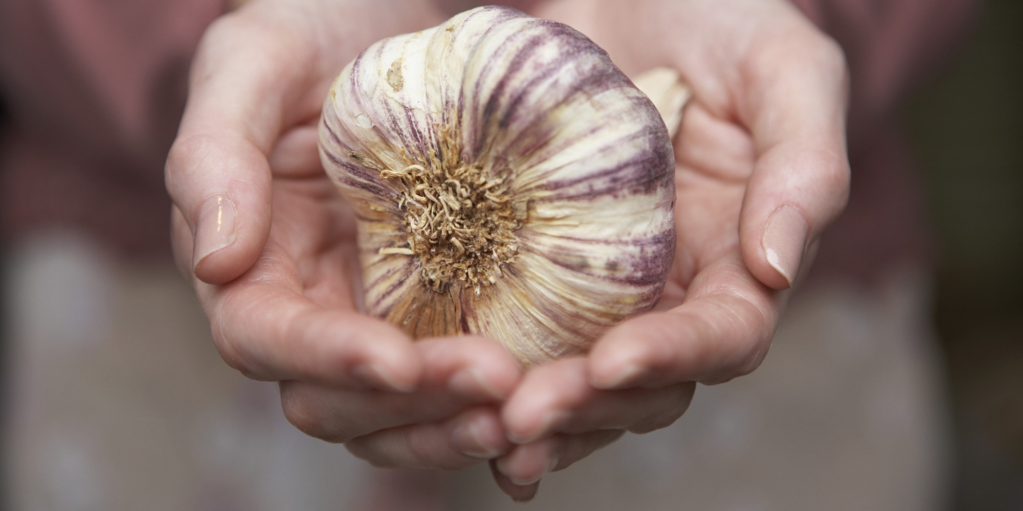 11 Healthy Reasons To Love Garlic