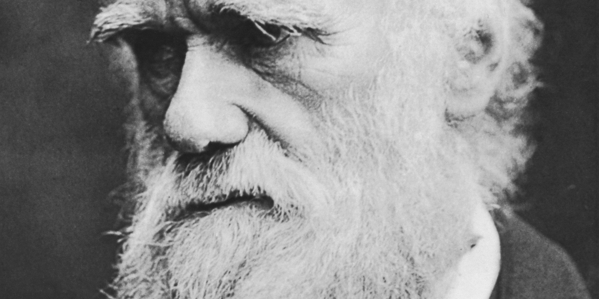 the-conservatives-social-darwinism-is-fine-only-it-goes-against