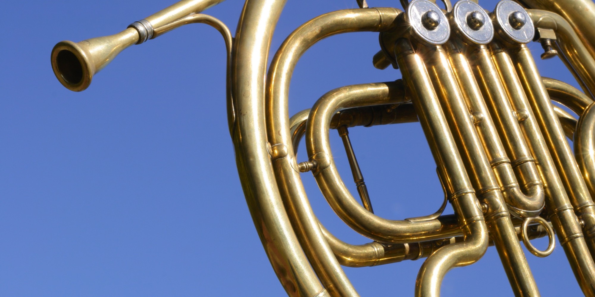 hearing-loss-relatively-common-in-pro-french-horn-players-study