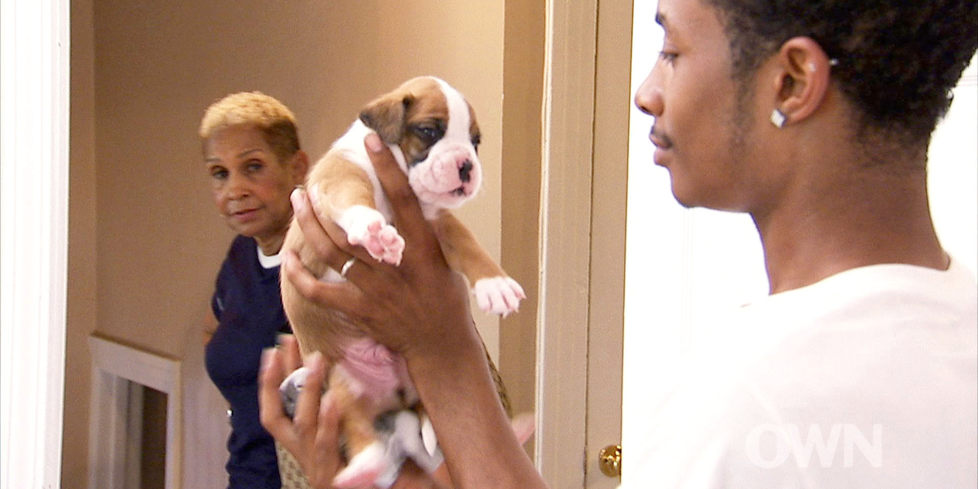 miss-robbie-discovers-stowaway-puppies-in-her-townhouse-on-welcome-to