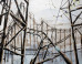 Mie Olise on the ImageBlog