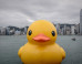 Everyone's Favorite 40-Foot Duck Floats To Pittsburgh