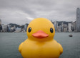 s-RUBBER-DUCK-HONG-KONG-small.jpg