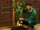 WATCH: The TomTato Is Here, And We Are Scared