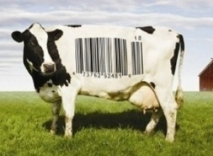 Food Inc