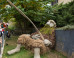 One Of These Artists Will Win $200,000 At ArtPrize, And It's The Public Who Decides (PHOTOS)