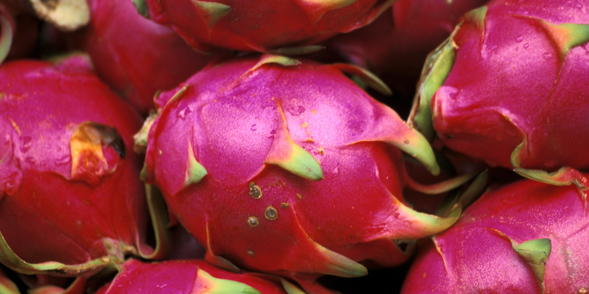 dragon-fruit-health-benefits-are-only-surpassed-by-their-beauty