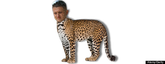 o-TOMMY-ROBINSON-EDL-LEOPARD-570.jpg