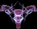 Beautiful Cervix Project Encourages Women To Share Very Personal Photos